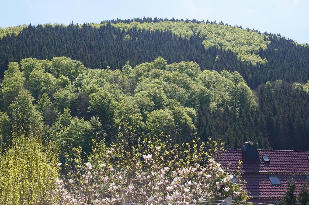 Wunderschönes Ferienwohnung Harzer Schätze für 2 Personen in fantastischer Wanderumgebung Harz Herzberg am Harz Exterior foto